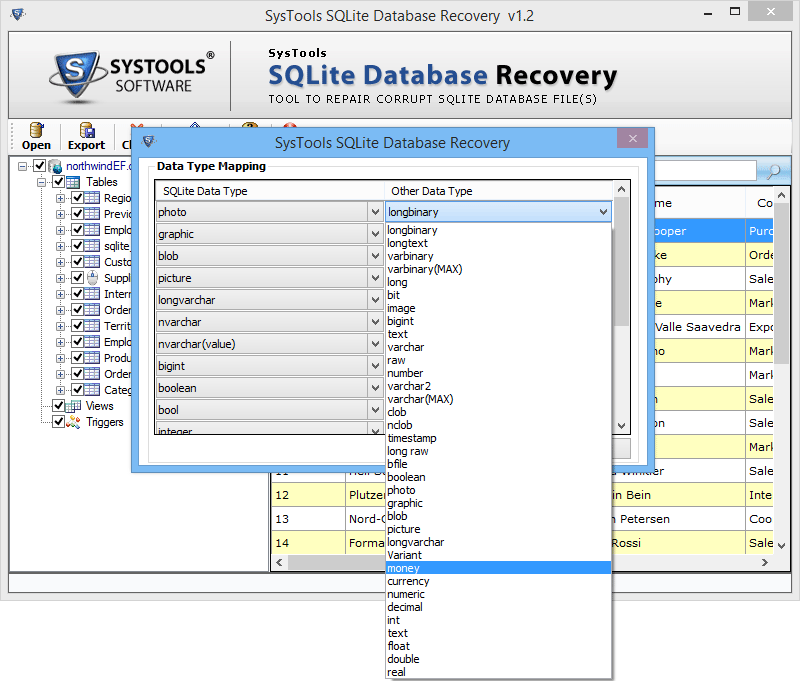 file data type in database